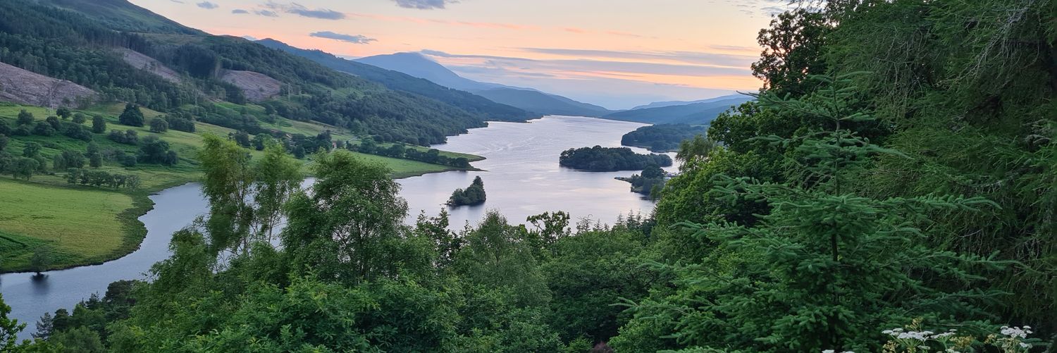 Eileen Cooper banner