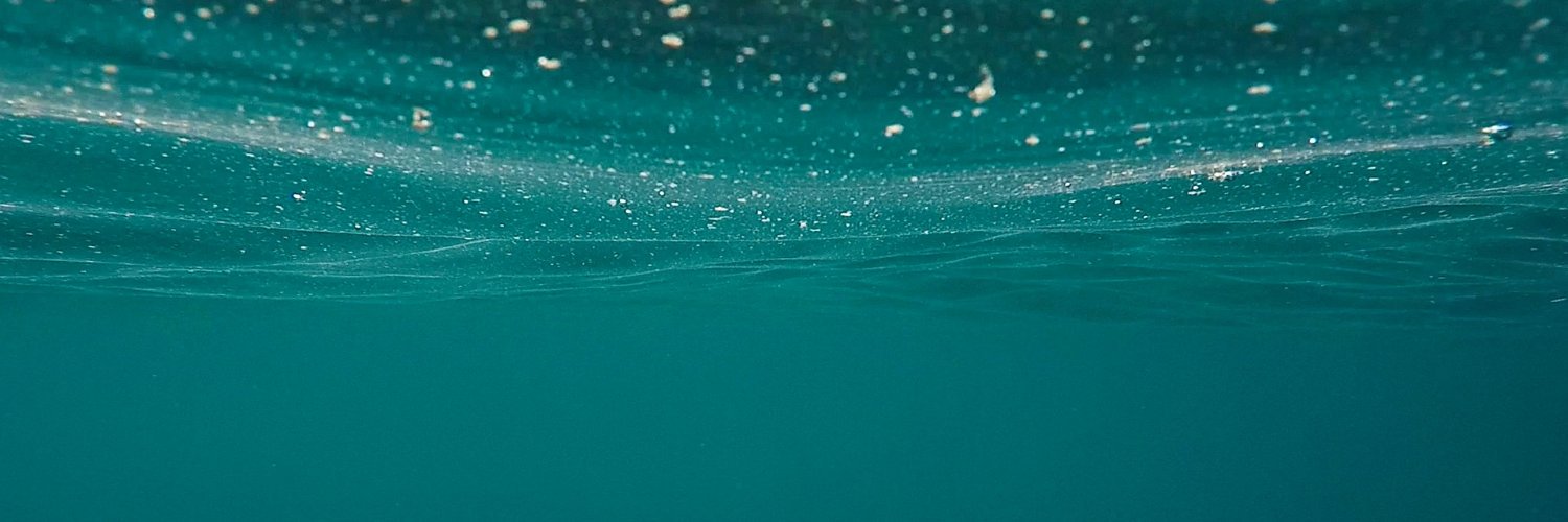 María Jesús Llorens banner