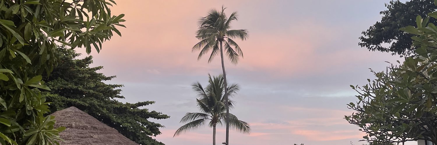 indiammcleod's profile banner image