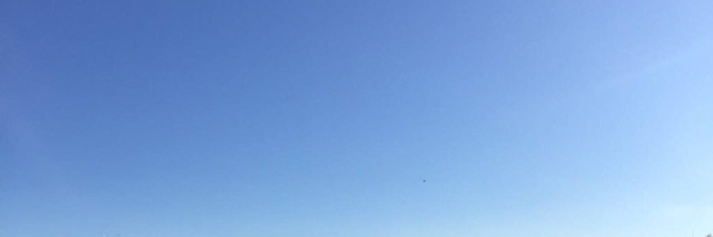 dshvrlmv's profile banner image