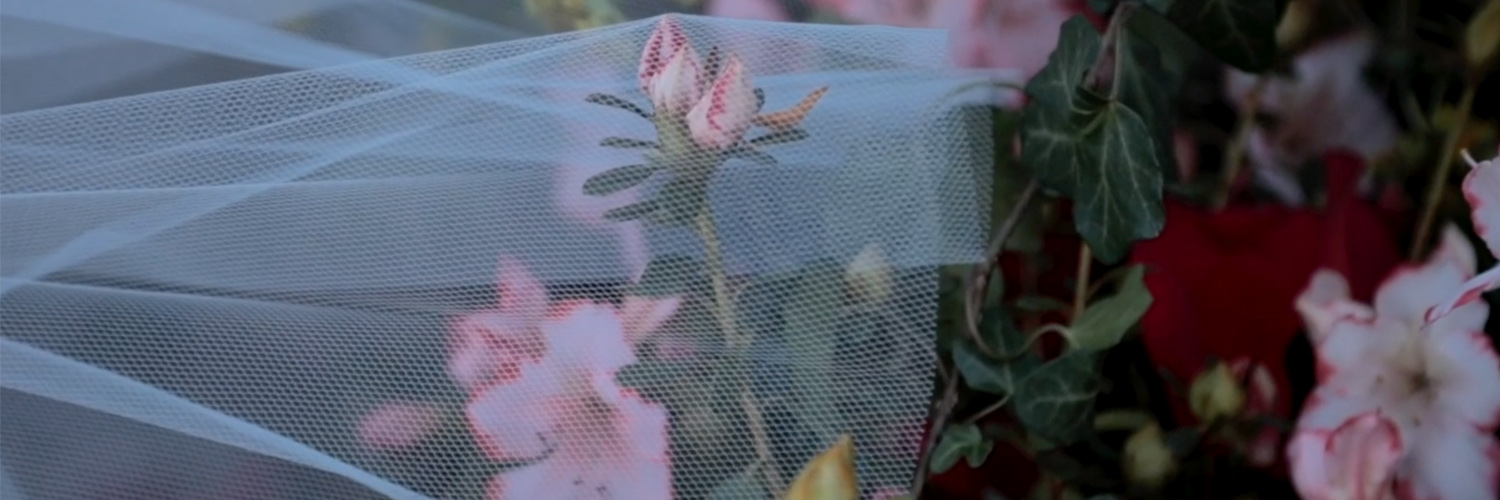 Georges Chakra banner