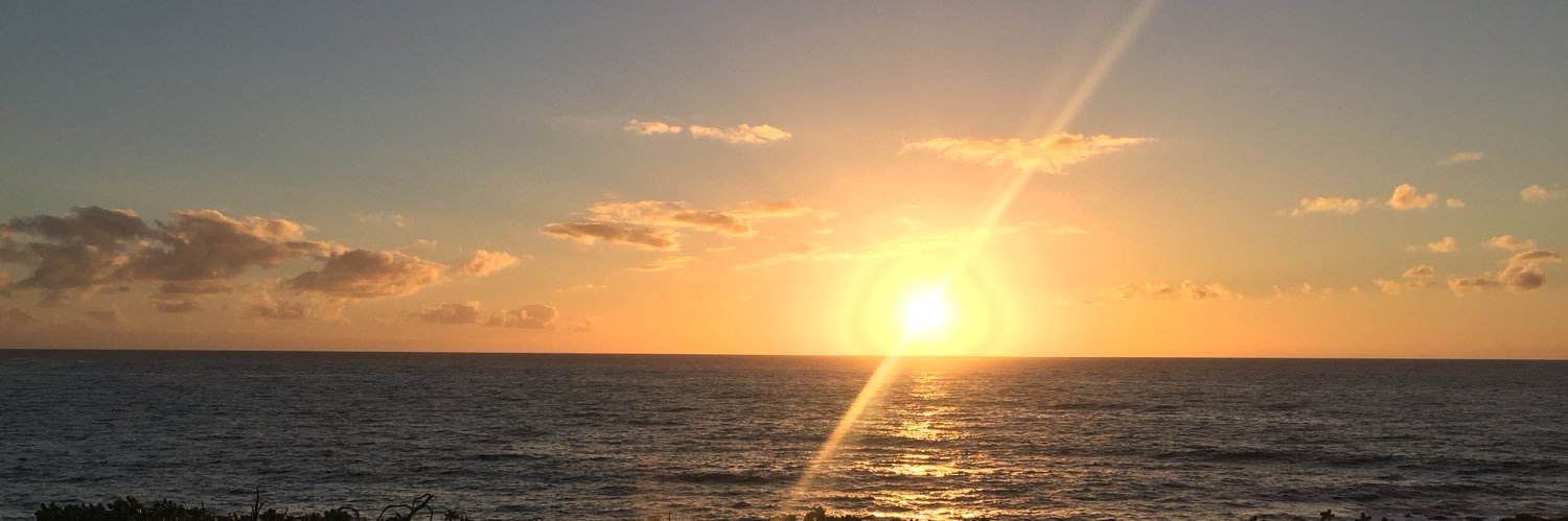 HeidiAdreon's profile banner image