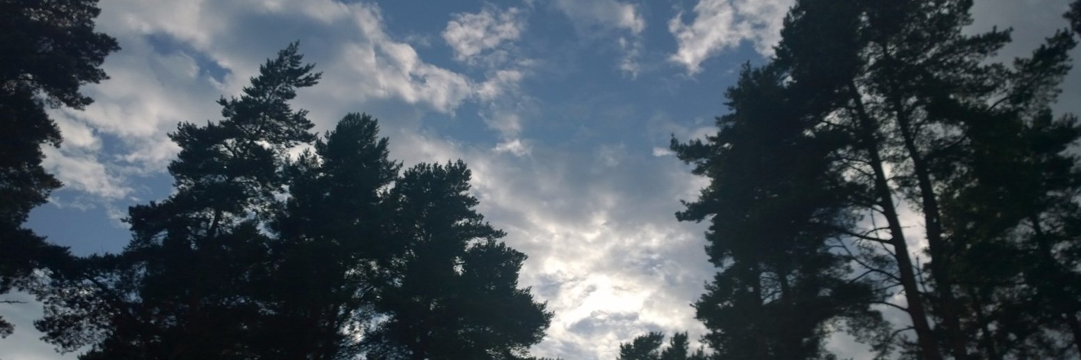 StrachanMary's profile banner image