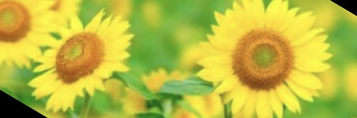 daako3939's profile banner image