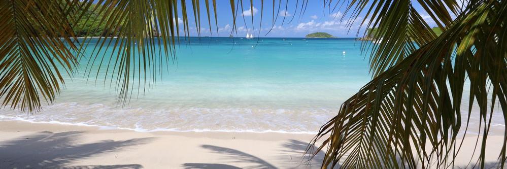 IslandJammers's profile banner image