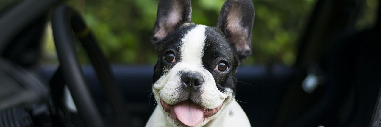 Miguel Álvarez banner