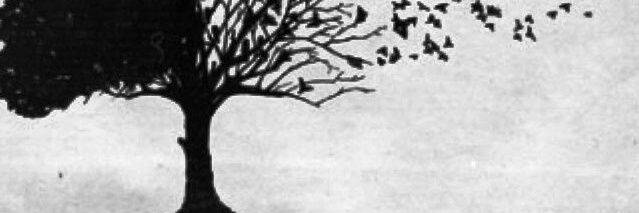 federaljw's profile banner image