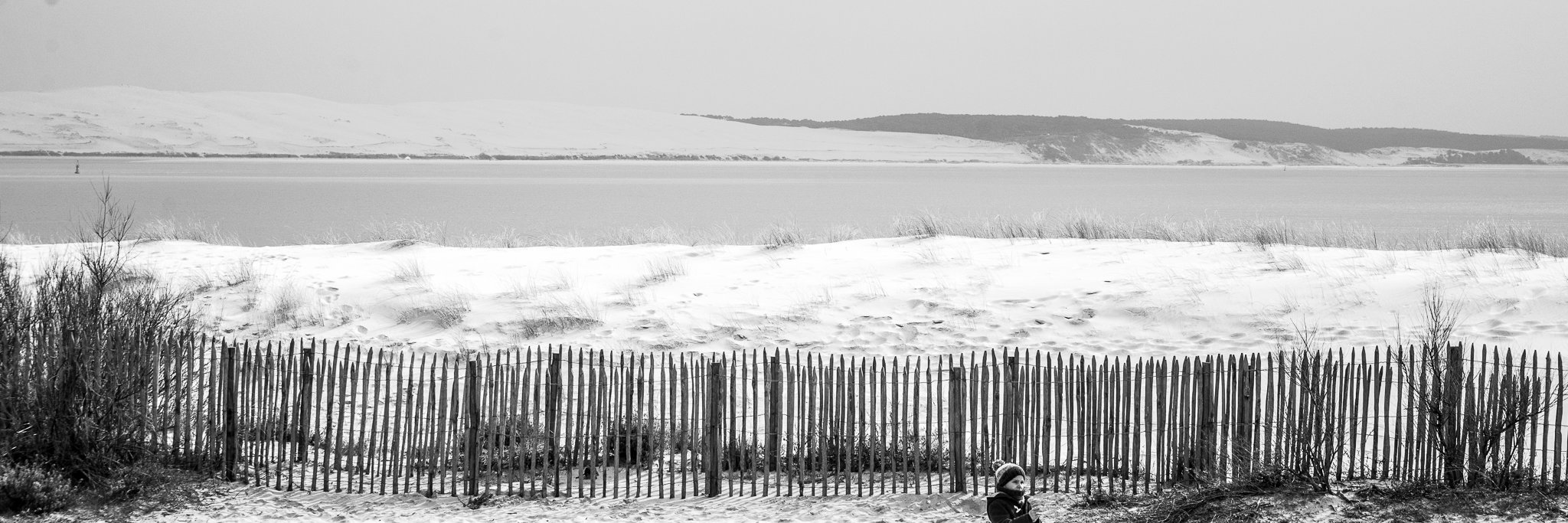 Elidautos's profile banner image