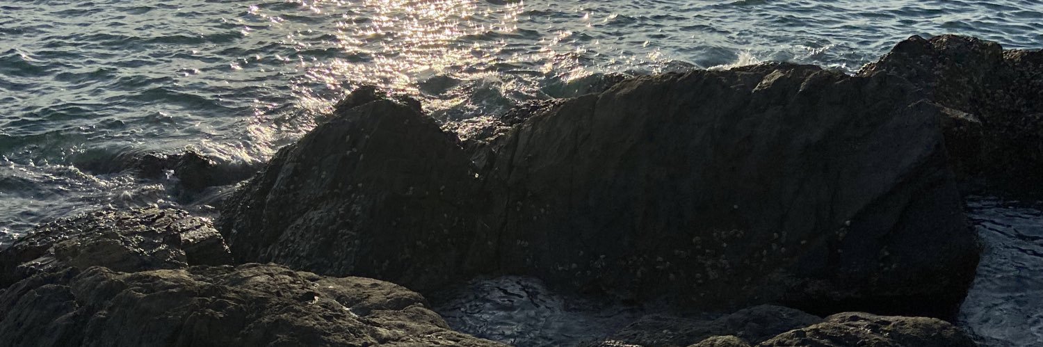 sosadinhell's profile banner image