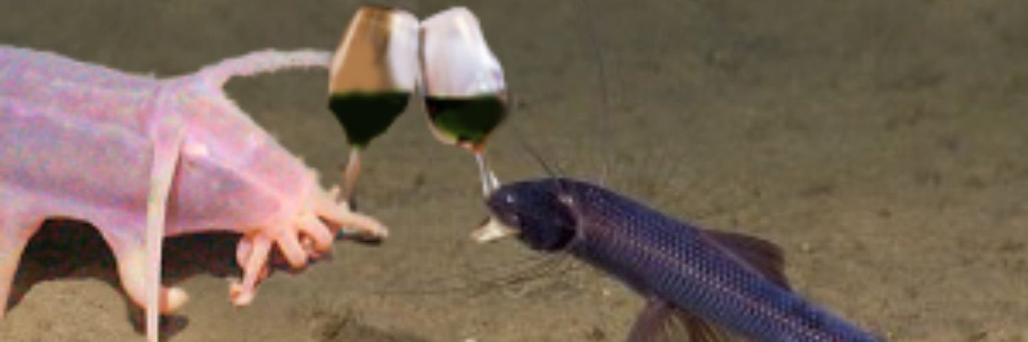 vernsbf's profile banner image