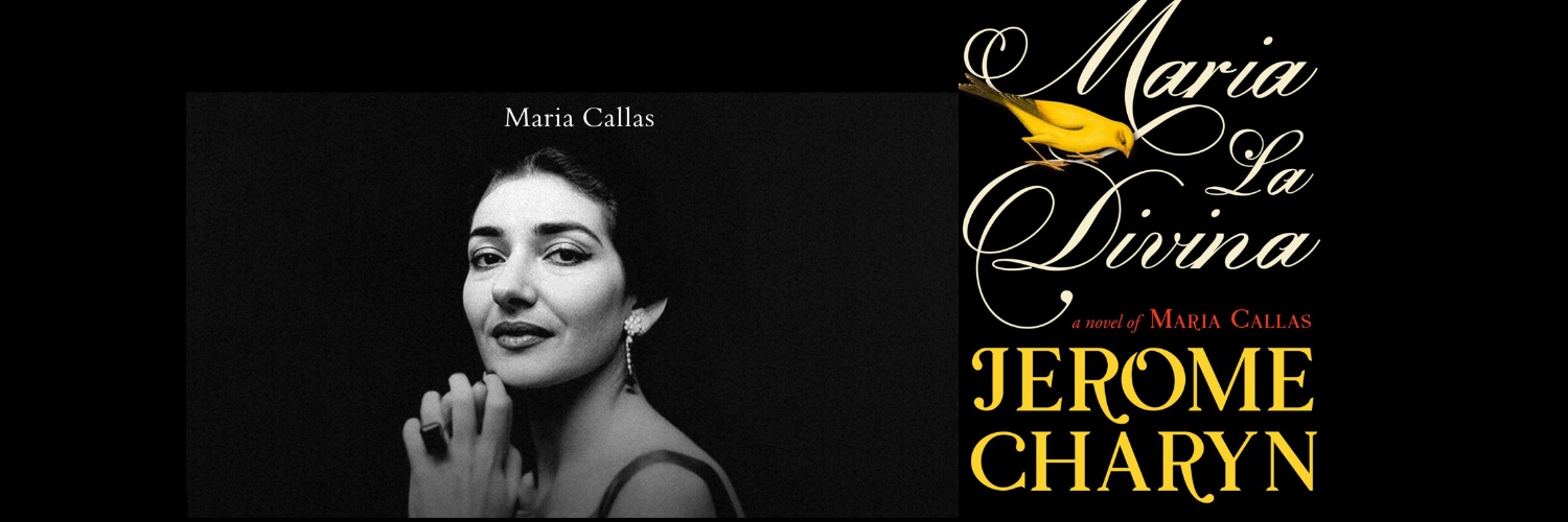 Jerome Charyn banner