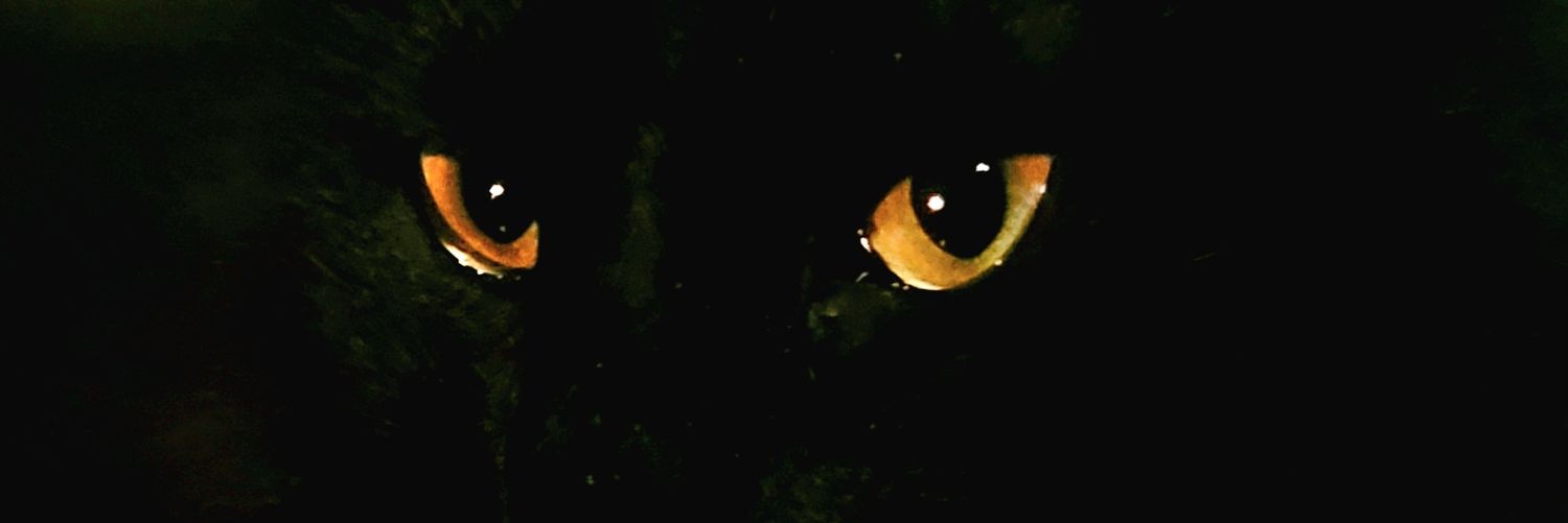 _yHontz_'s profile banner image