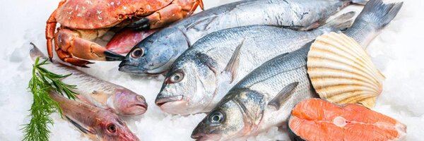 VinSullivan Profile Banner