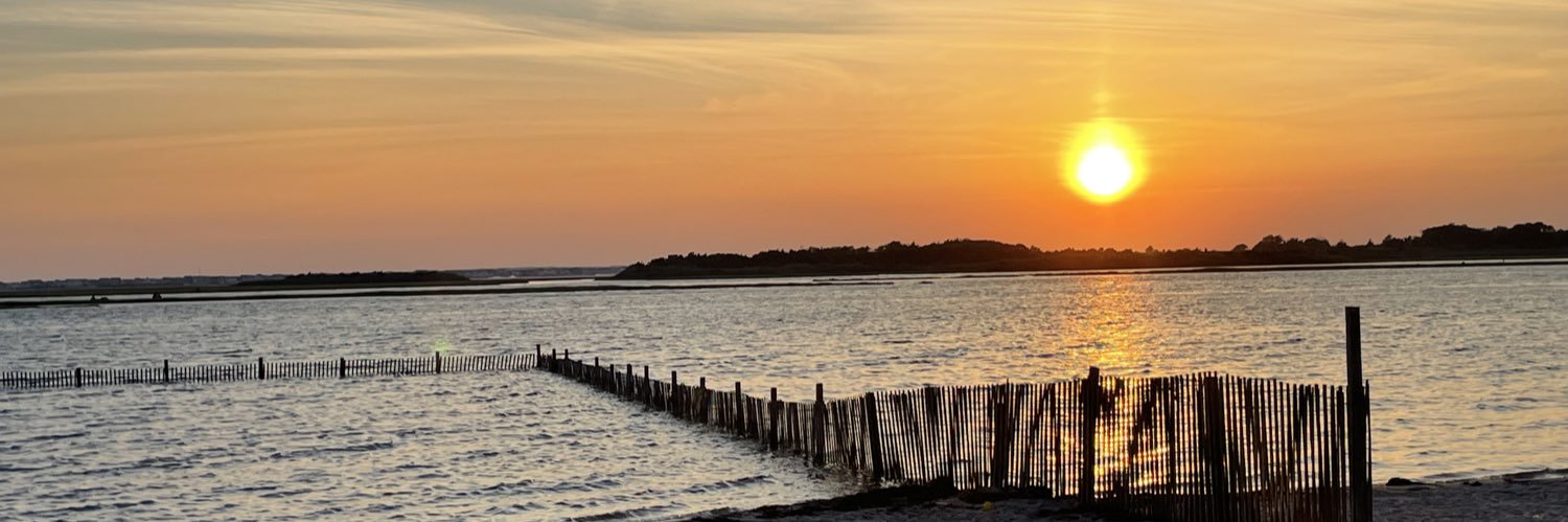 Melissa Lockett banner