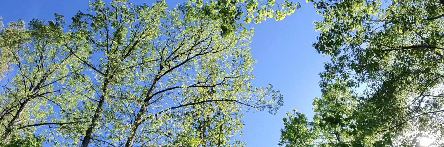 TphrB's profile banner image