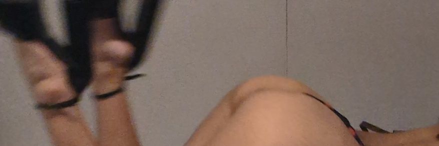 ilovesheeepcats's profile banner image