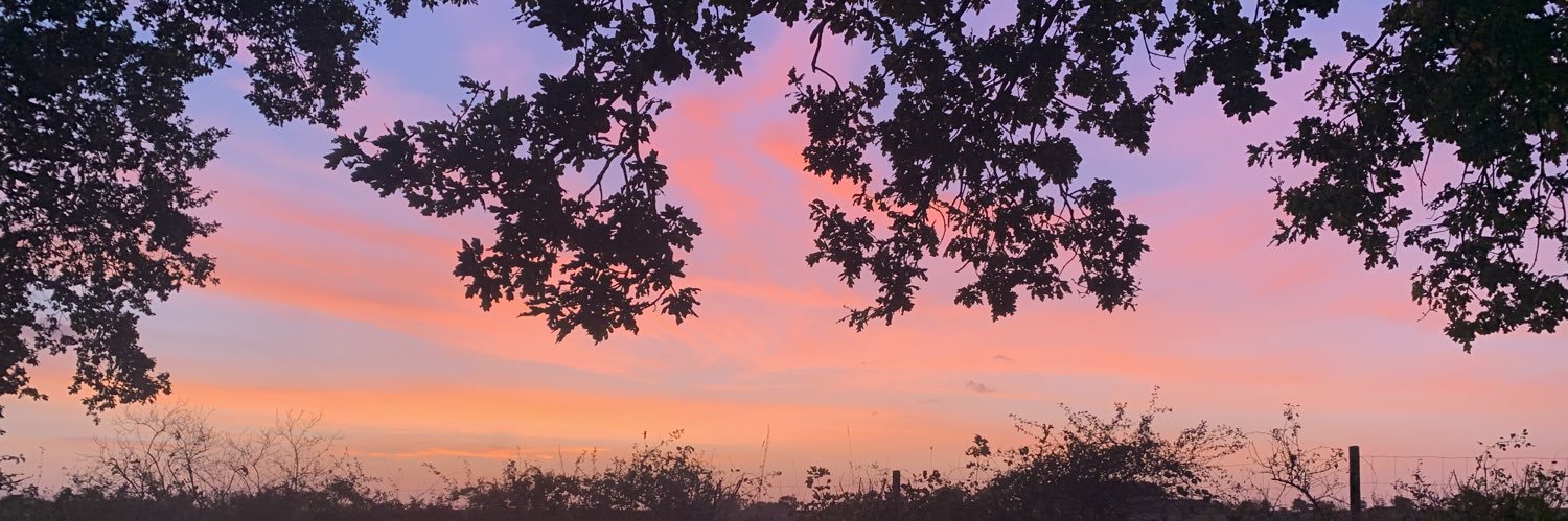 IzzyHC's profile banner image