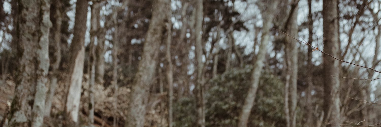 JudeMosesMusic's profile banner image