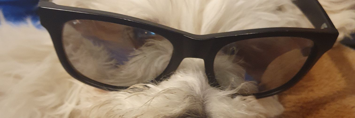 feliast's profile banner image