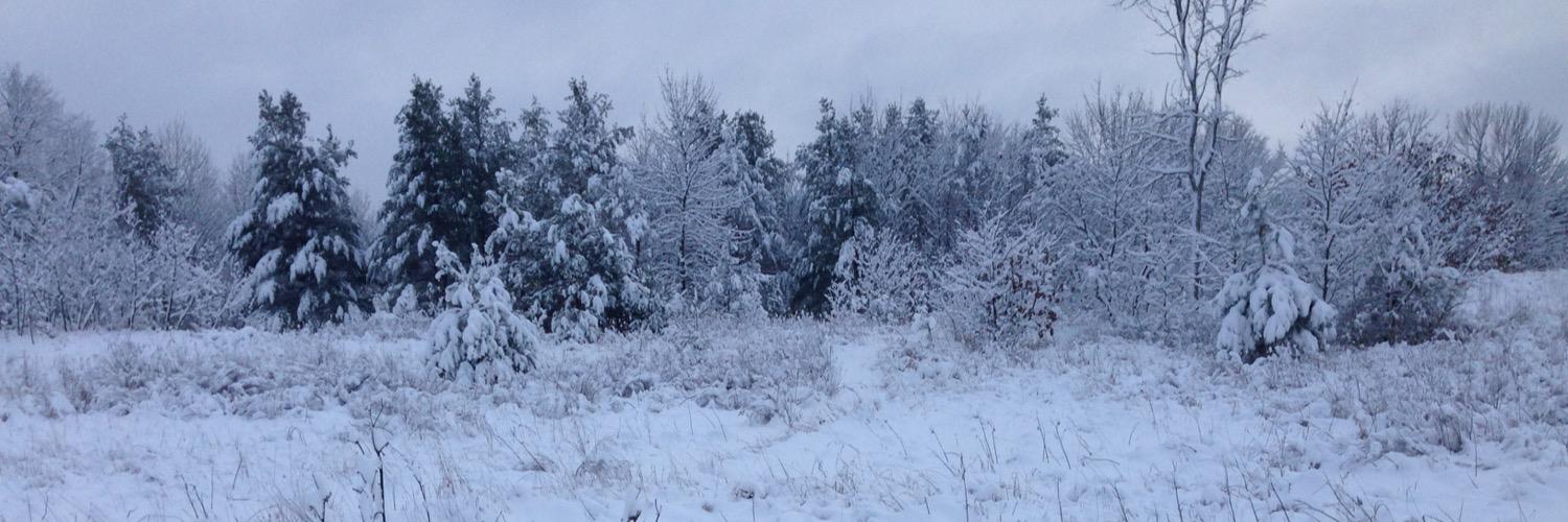 Carmine Minutillo banner