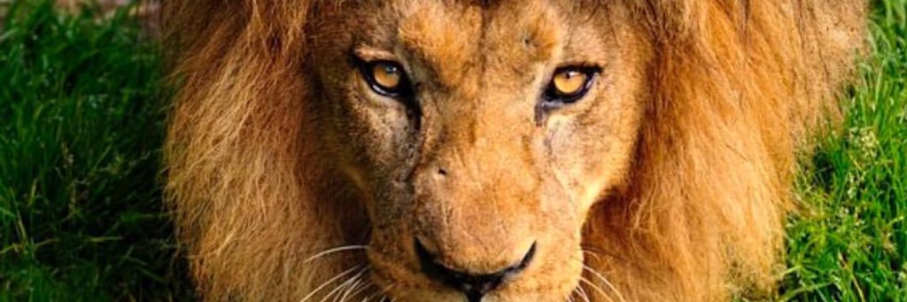roy_smooth6's profile banner image