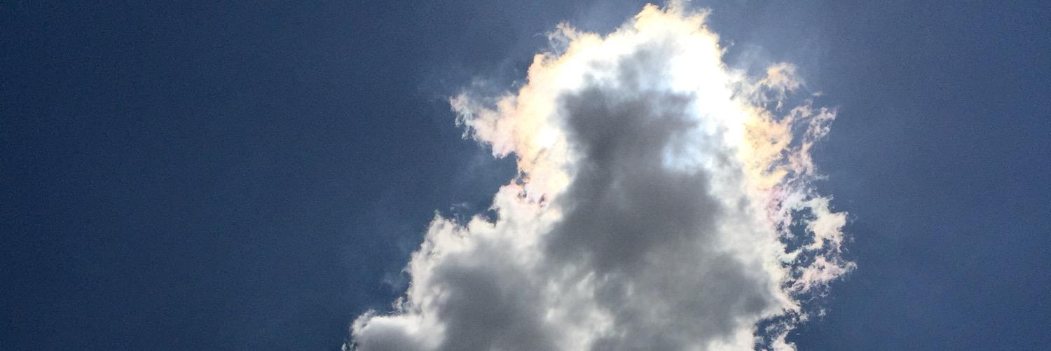 19tony82's profile banner image