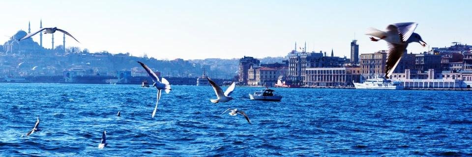 symakgul's profile banner image