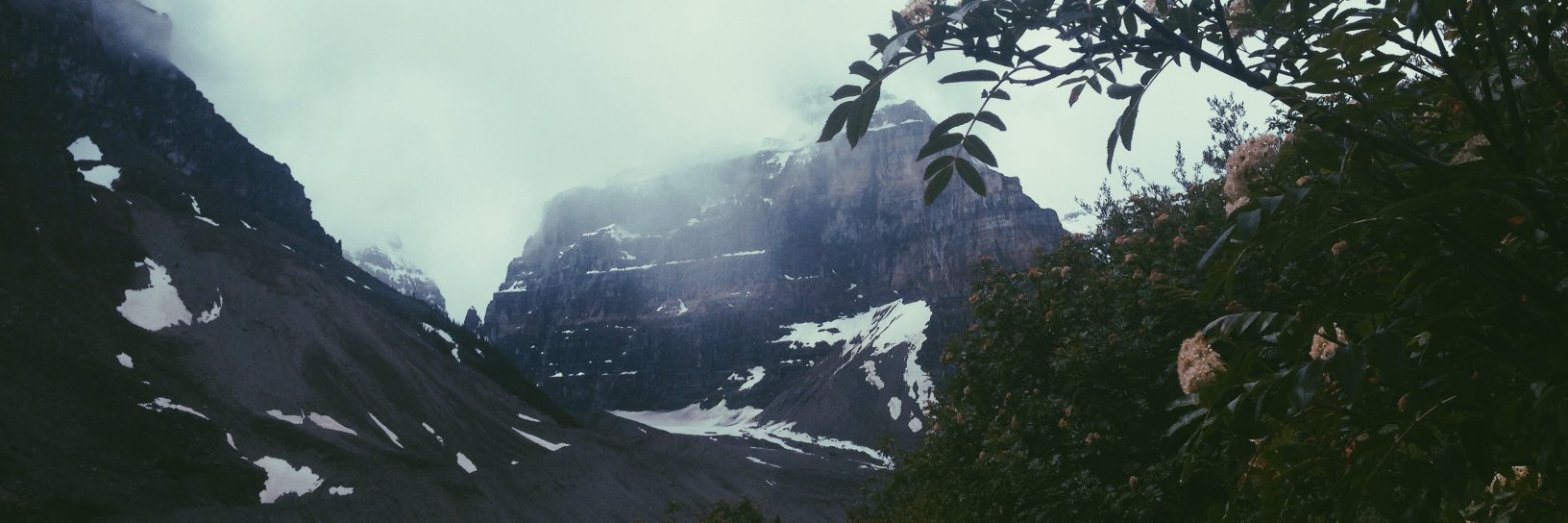 catherineturnbl's profile banner image