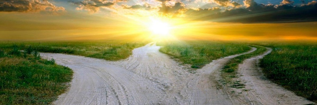 TruerLife's profile banner image