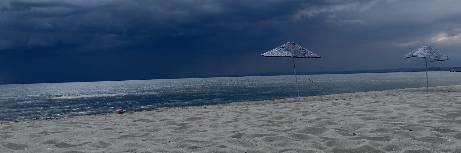 neeslisah's profile banner image