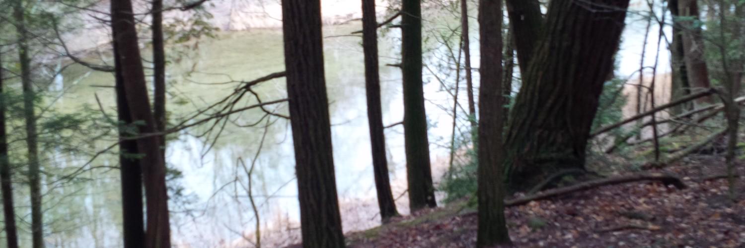 myhuronroots's profile banner image