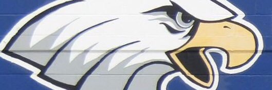 patfal1's profile banner image