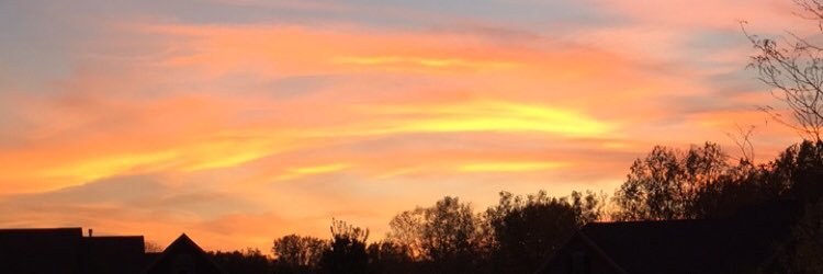 watsonpaxton's profile banner image