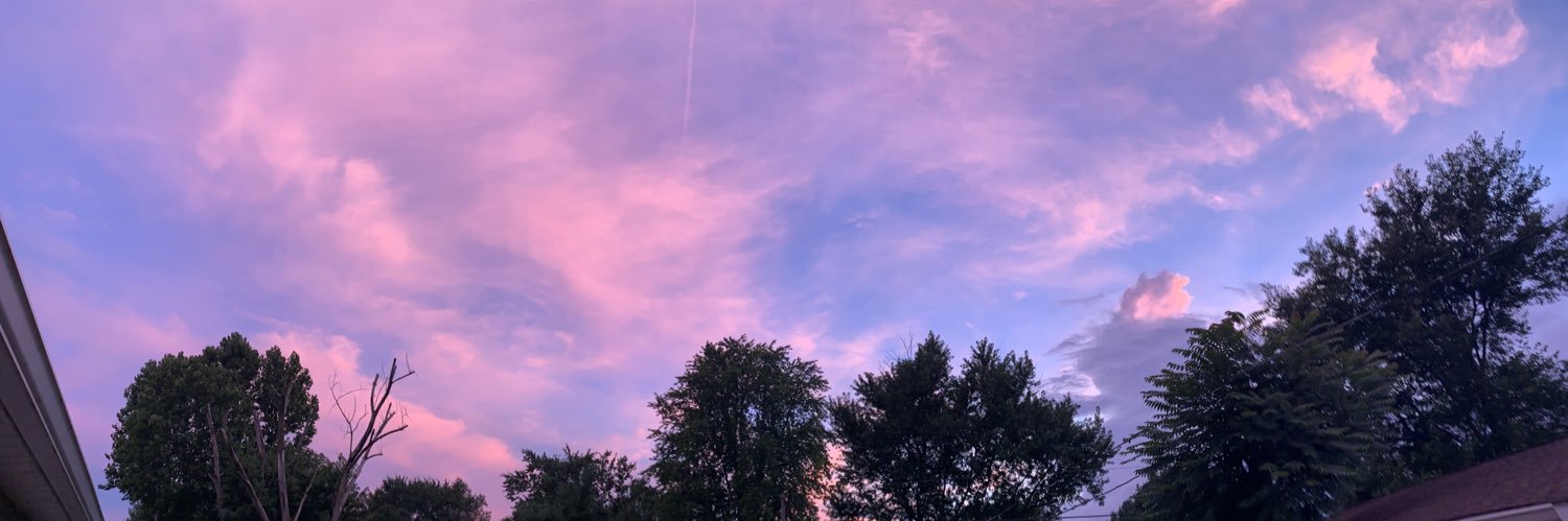 haley_dickison's profile banner image