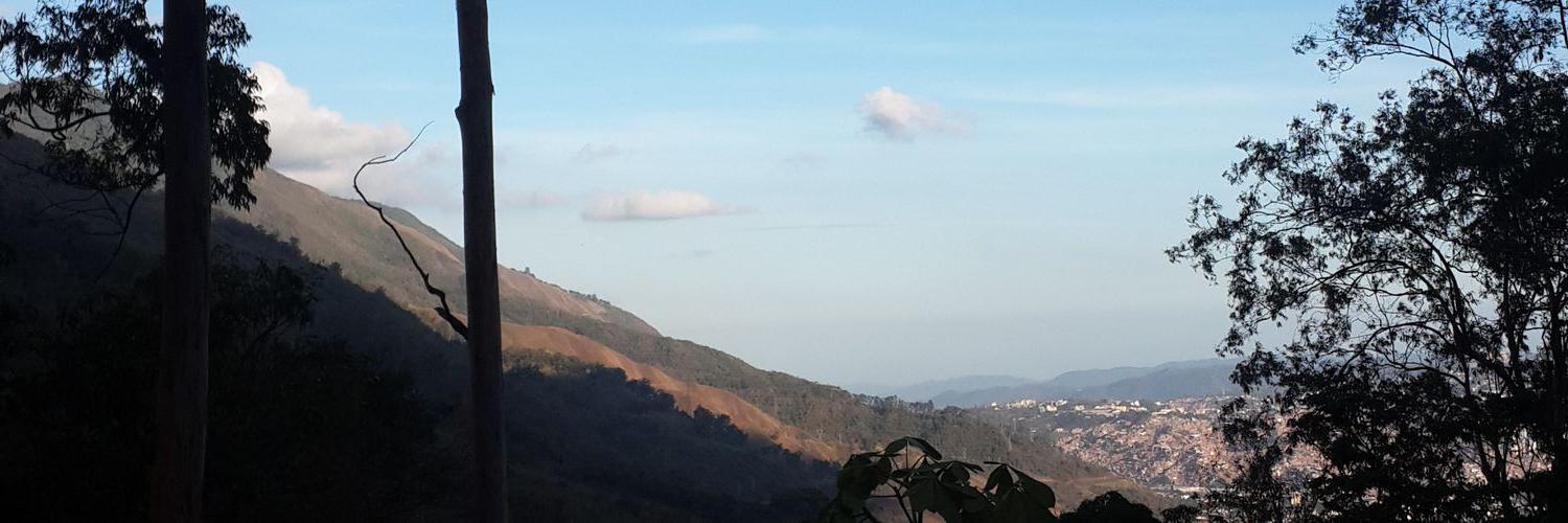 robertorasquin's profile banner image