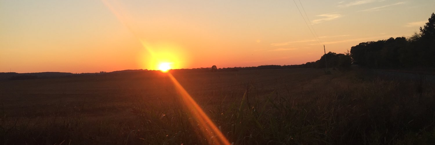WisnerHaley's profile banner image