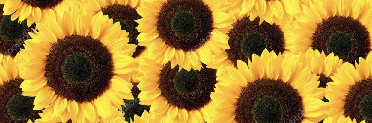 jennalottes's profile banner image