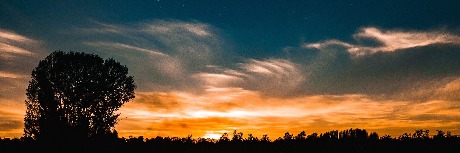 SammyIgnacio__'s profile banner image