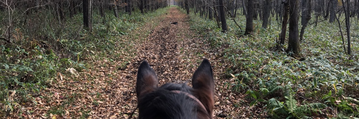 ひー/Shunka-h⭐️M3春J-01b banner