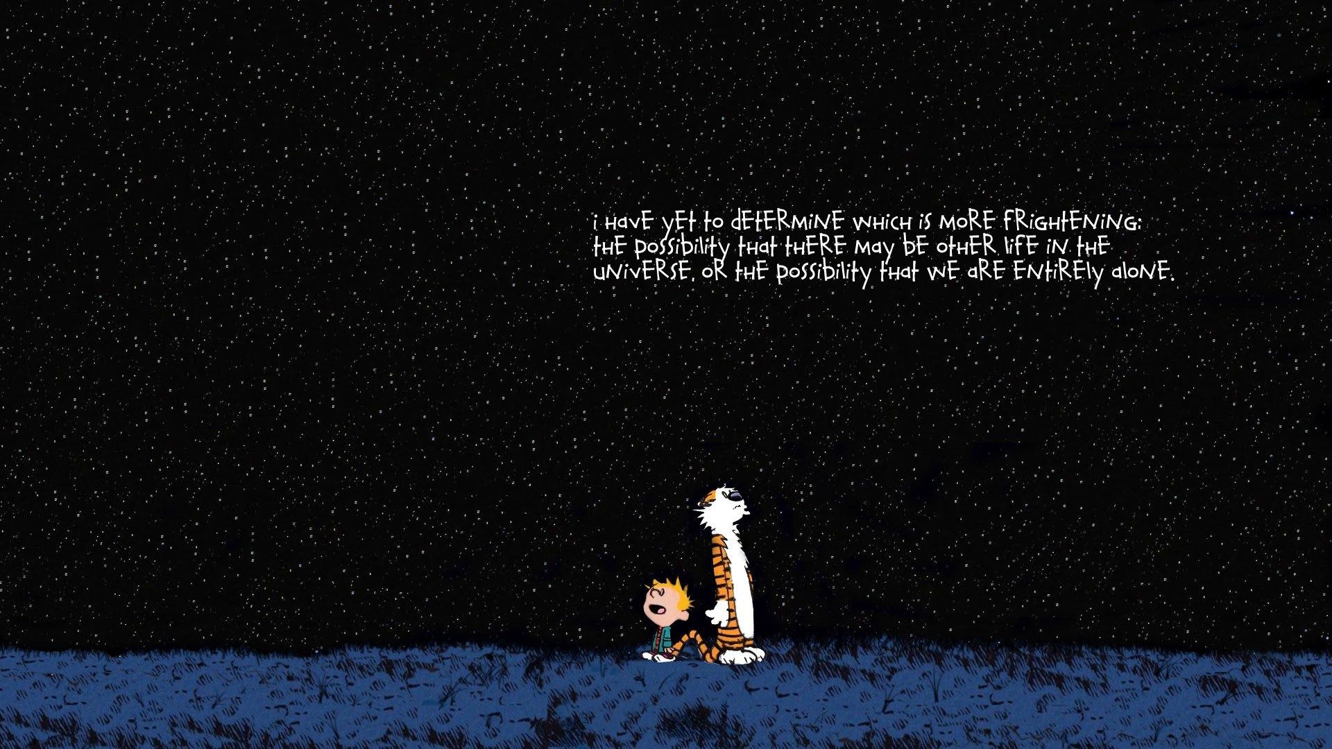 carlylebtc's profile banner image