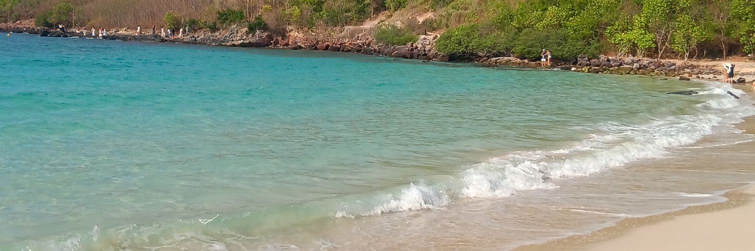 Earth_Bao's profile banner image