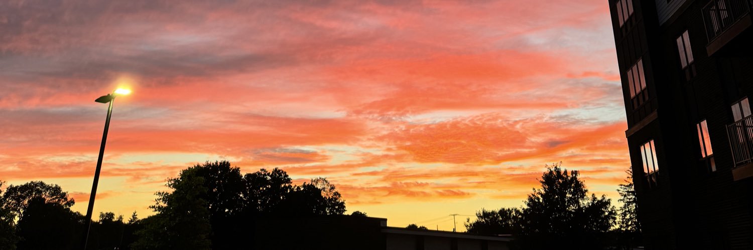 livmhatfield's profile banner image