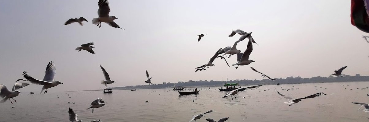 Sanjeev Malhotra banner