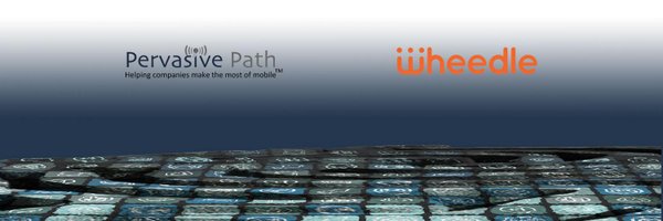 SteinDomain Profile Banner