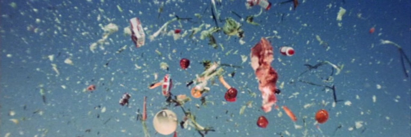 Isabelle Regnier banner