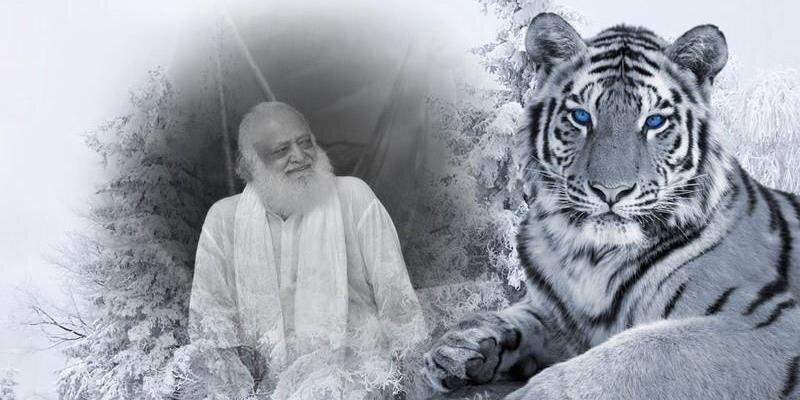 bakshibk's profile banner image