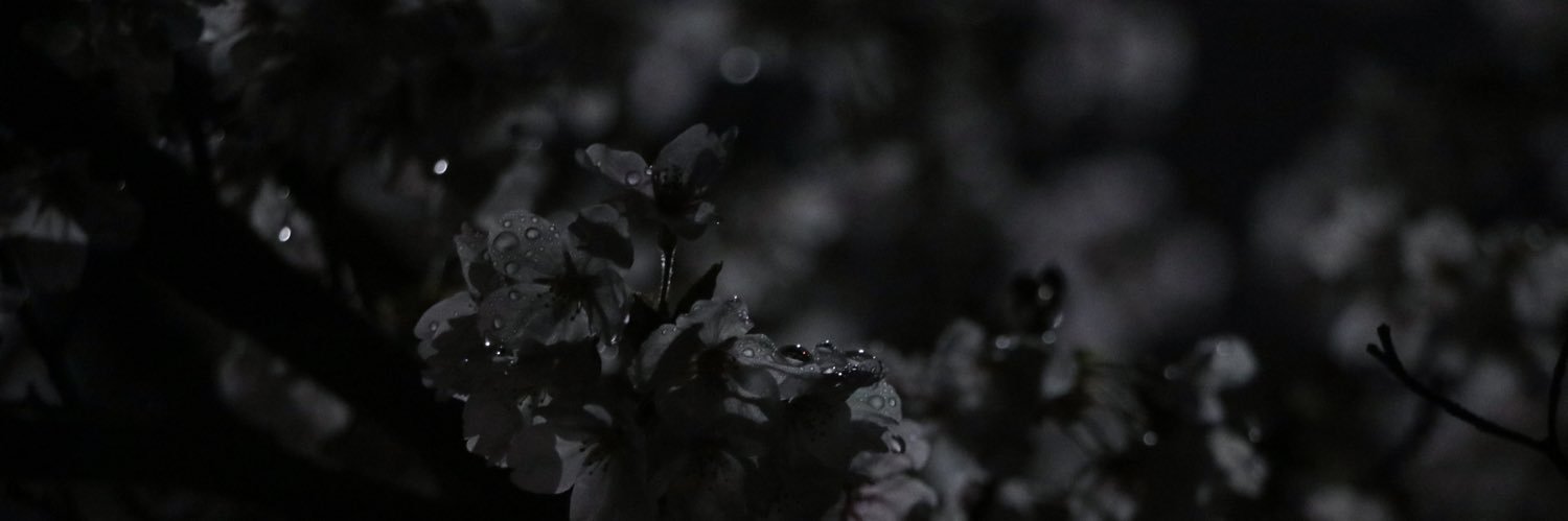 umenosora069's profile banner image