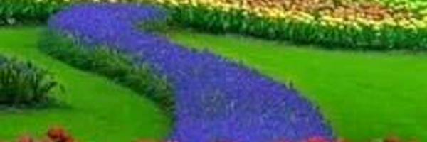 ab10d57d06a741d Profile Banner