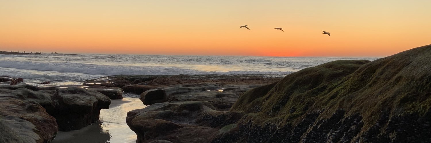 Lydiah Styczynski banner