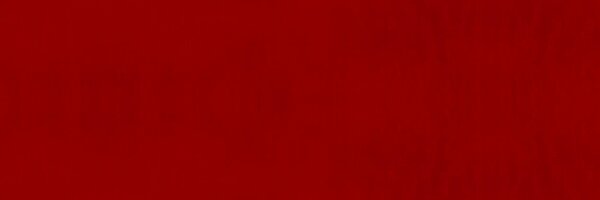 Cheesetique Profile Banner
